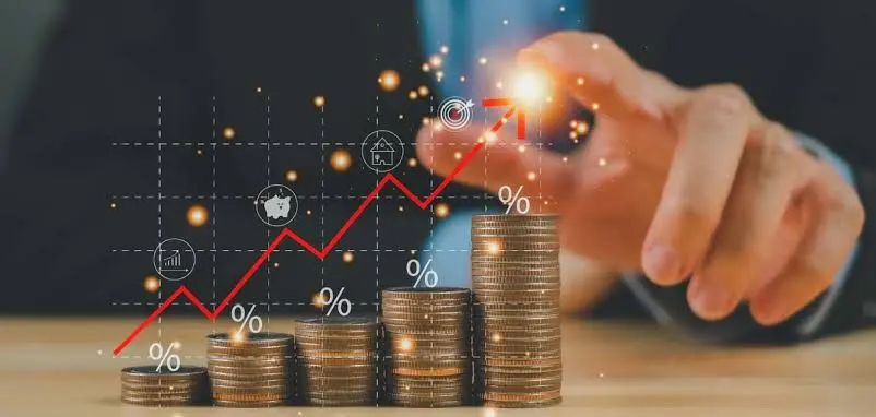 Financial Insights & Analysis
